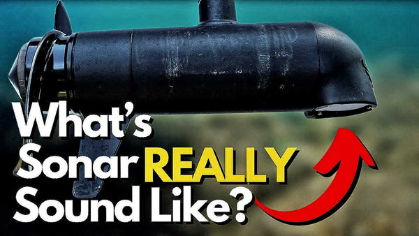 What Does Sonar Sound Like Underwater?