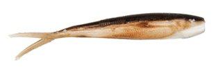 Berkley Gulp Saltwater Baitfish