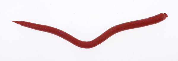 Berkley Gulp Saltwater Extruded Bloodworm