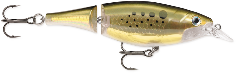 Rapala X-Rap. Jointed Shad