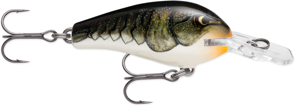 Rapala Fat Rap