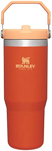 The IceFlow Flip Straw Tumbler | 30 OZ | Insulated Water | Stanley